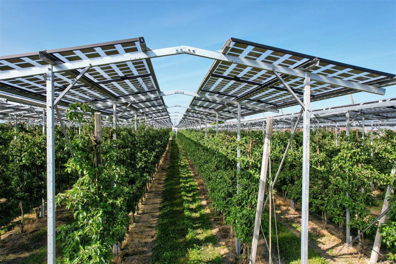 Solar panels Ground mounting structure Solar panels Ground mounting structure