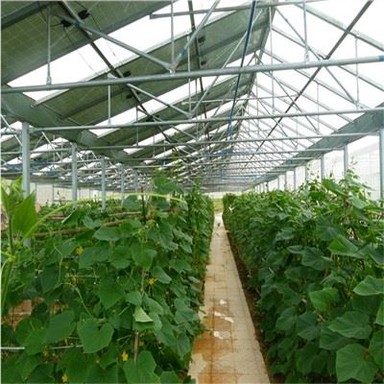 Sistemas de montaje fotovoltaicos agrícolas