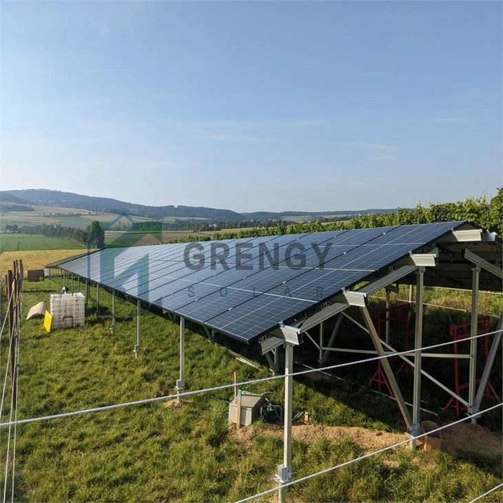 ground system with ground screws