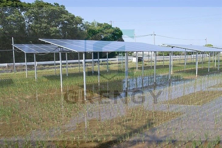 Agriculture Solar Farm Mounting Systems