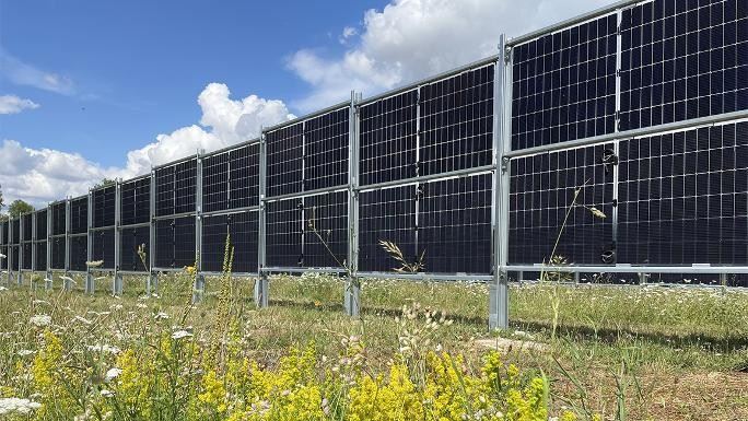 Solar Fencing For Agricultural Land